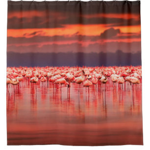 African flamingos in the lake over beautiful sunse shower curtain