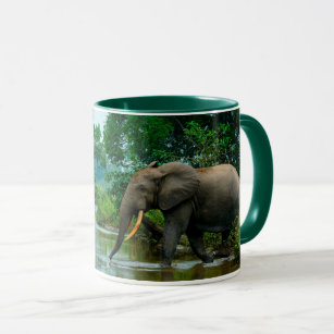 African Forest Elephant in River Mug