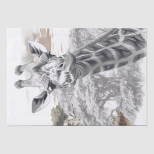 African Giraffe Pencil Sketch Tissue Paper