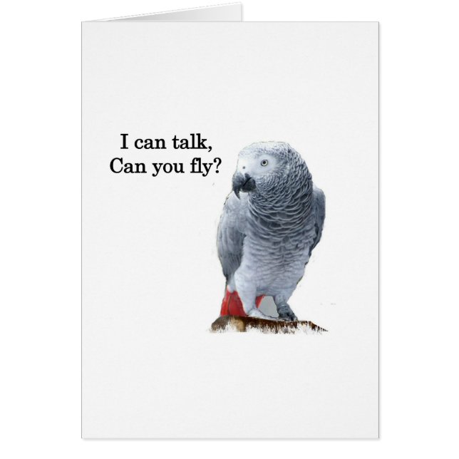 African Gray I can talk, can you fly? (Front)