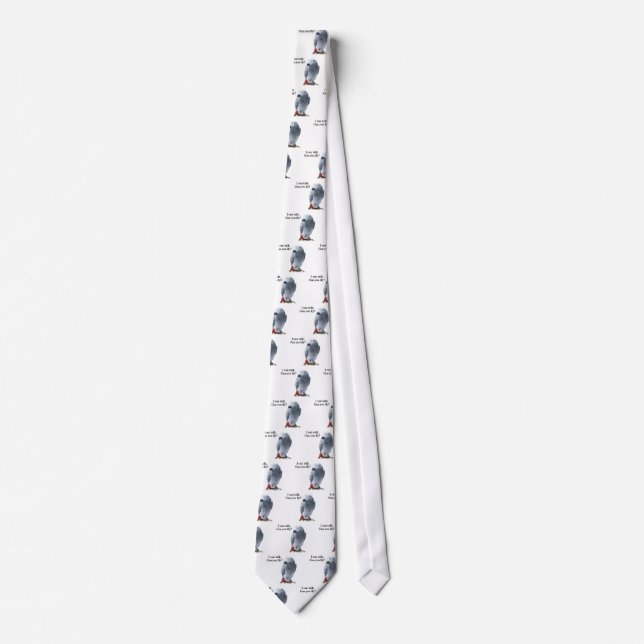 African Gray I can talk, can you fly? Tie (Front)