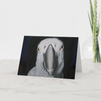 African Gray Parrot Card