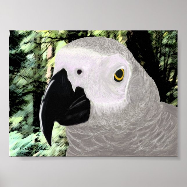 African Gray Poster (Front)
