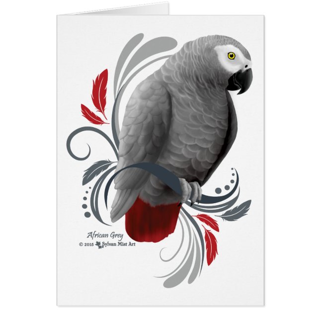 African Grey (Front)
