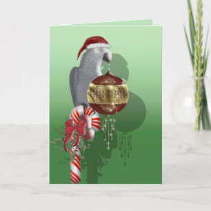 African Grey Christmas Holiday Card