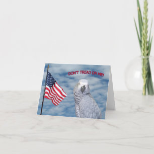 African Grey Don't Tread On Me Small Note Card