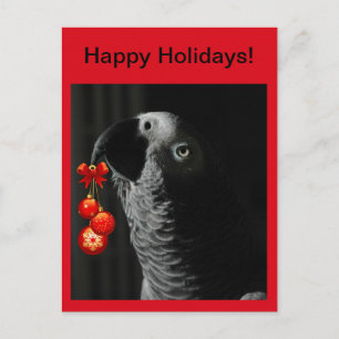 African Grey Happy Holidays Christmas Postcard