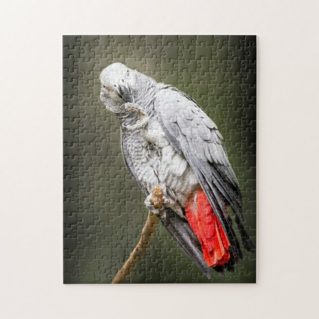 African Grey  Jigsaw Puzzle (Vertical)