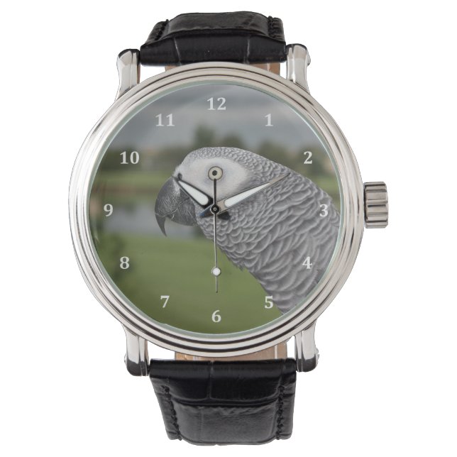 African Grey Lakeside Watch (Front)