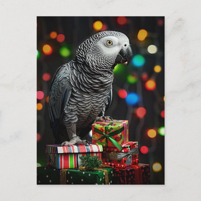 African Grey on Gifts — Festive Greeting Card (Front)