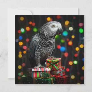 African Grey on Gifts — Festive Greeting Card