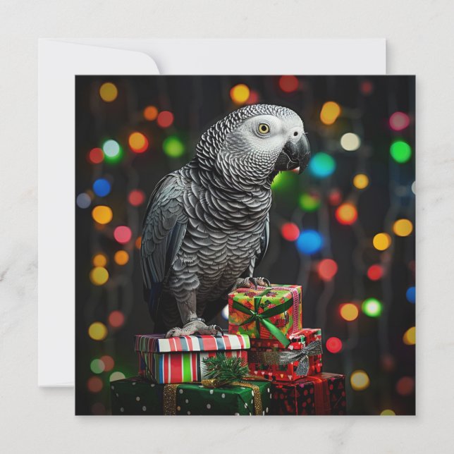 African Grey on Gifts — Festive Greeting Card (Front)
