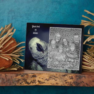 African Grey Parrot Add Your Own Photo Plaque