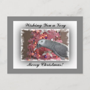 African Grey Parrot and Icy Pink Christmas Tree Holiday Postcard