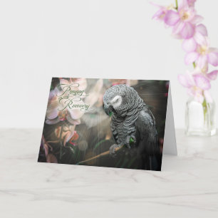 African Grey Parrot and Orchids Get Well Card