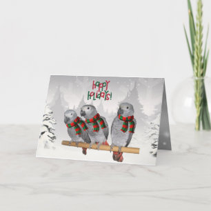African Grey Parrot Baby Christmas Card