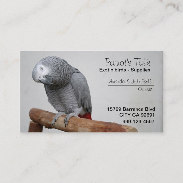 African Grey Parrot Business Card (Front)