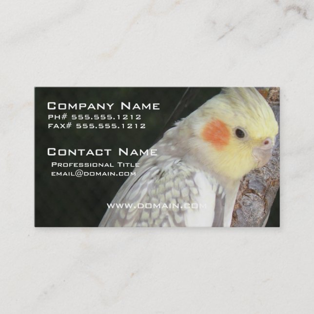 African Grey Parrot Business Card (Front)