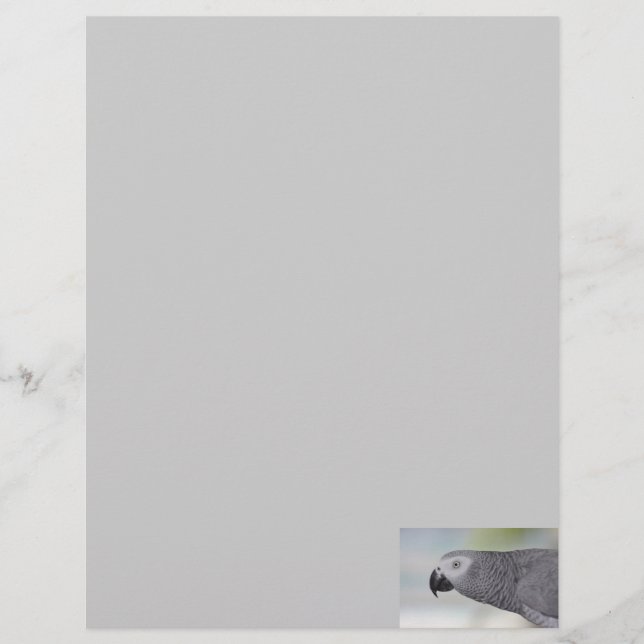 African Grey Parrot Business Letterhead (Front)