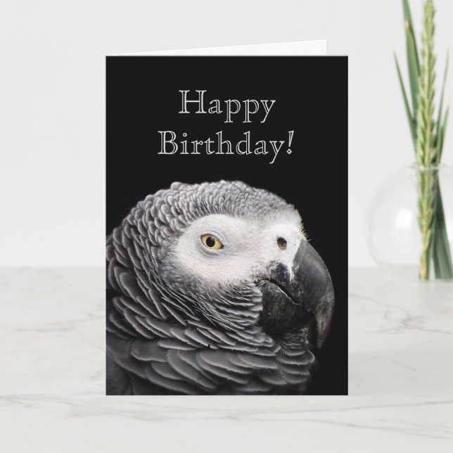 African Grey Parrot Card (Front)