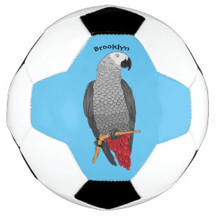 African grey parrot cartoon illustration football