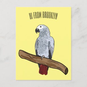 African grey parrot cartoon illustration  postcard