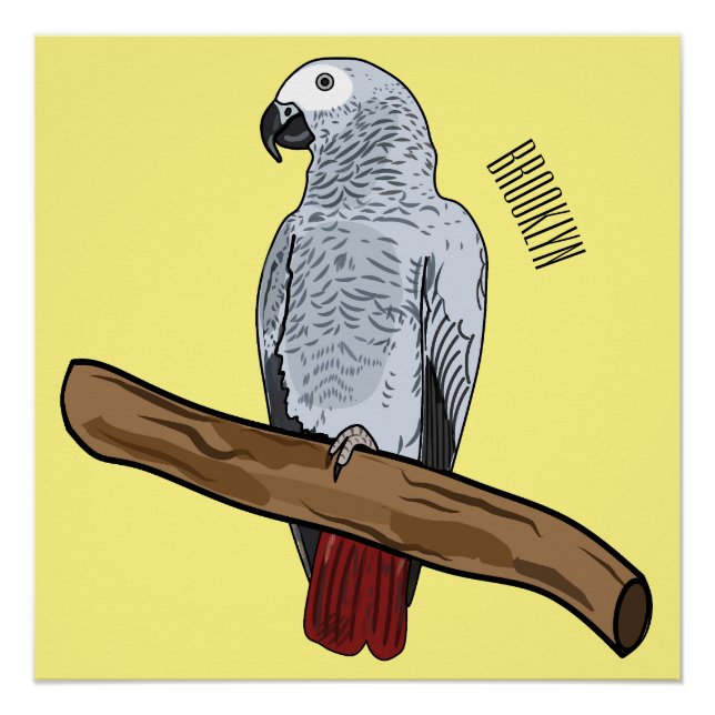African grey parrot cartoon illustration  poster (Front)