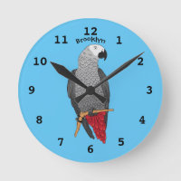 African grey parrot cartoon illustration 