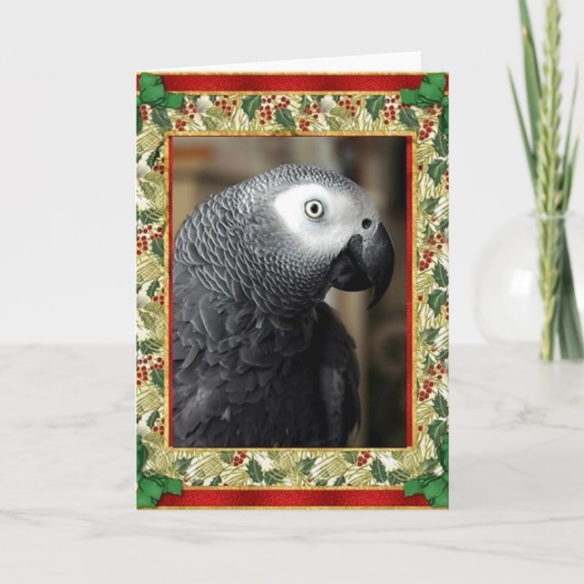 African Grey Parrot Christmas Card (Front)