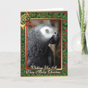 African Grey Parrot Christmas Card