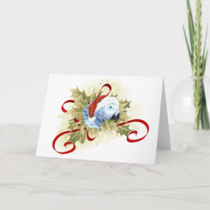 African Grey Parrot Christmas Cards