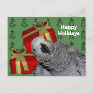 African Grey Parrot Christmas Holiday Postcard