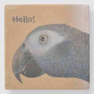African Grey Parrot Coaster