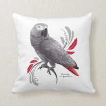 African Grey Parrot