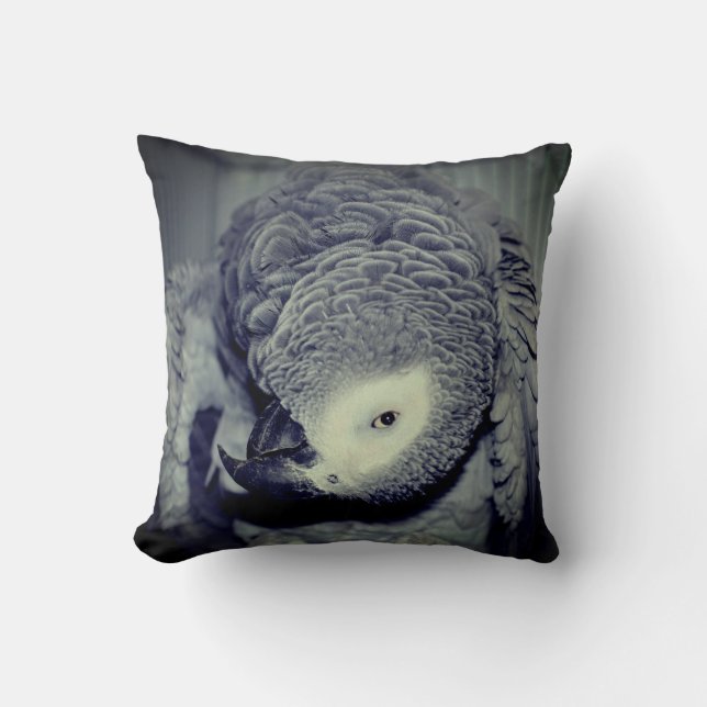African Grey Parrot Cute Bird 2   Cushion (Front)