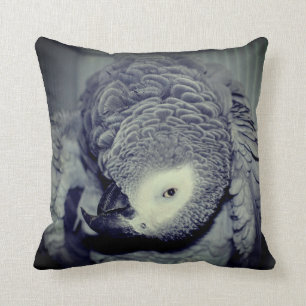 African Grey Parrot Cute Bird 2   Cushion