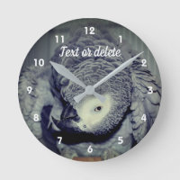 African Grey Parrot Cute Bird 2 Personalised