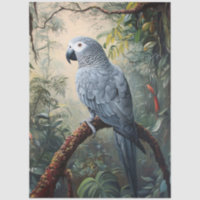 African Grey Parrot Decoupage
