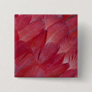 African Grey Parrot Feather Design 15 Cm Square Badge