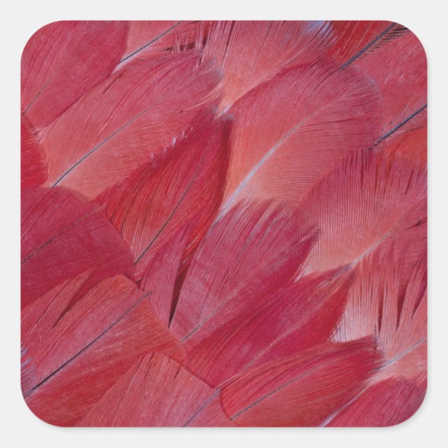 African Grey Parrot Feather Design Square Sticker (Front)