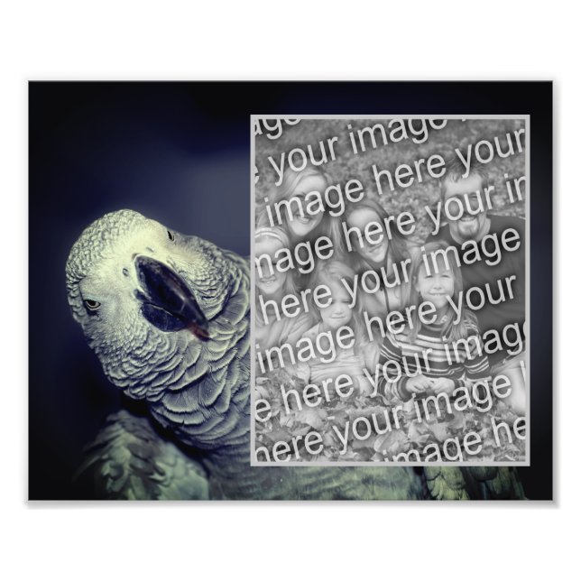 African Grey Parrot Frame Create Your Own 8x10 Photo Print (Front)