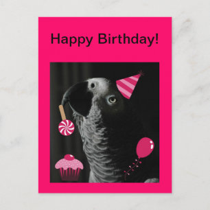 African Grey Parrot Happy Birthday Postcard