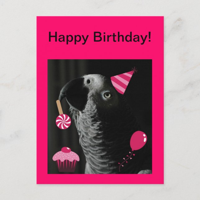 African Grey Parrot Happy Birthday Postcard (Front)