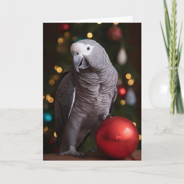 African Grey Parrot Holiday Cards  (Front)
