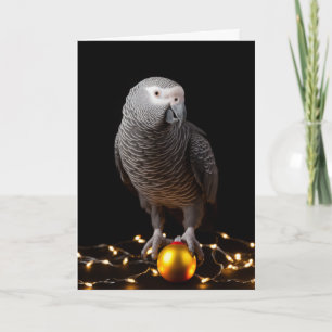 African Grey Parrot Holiday Cards 