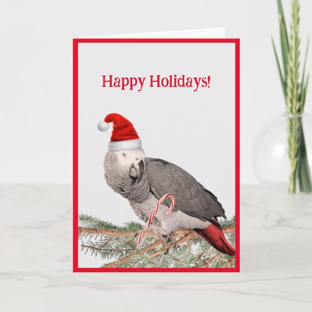 African Grey Parrot Holiday Greeting Card (Front)
