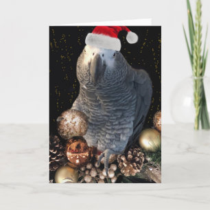 African Grey Parrot Holiday Season Card