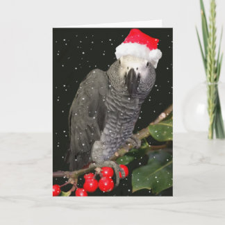 African Grey Parrot Holiday Season Card