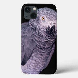 African Grey Parrot iPad Case