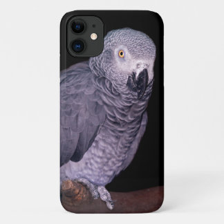 African Grey Parrot iPhone 11 Case